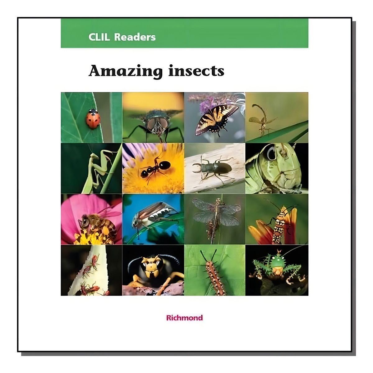 Amazing insects baixar livro de graça
