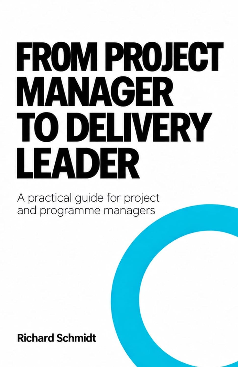 ler totalmente From Project Manager to Delivery Leader: A Practical Guide for Project and Programme Managers