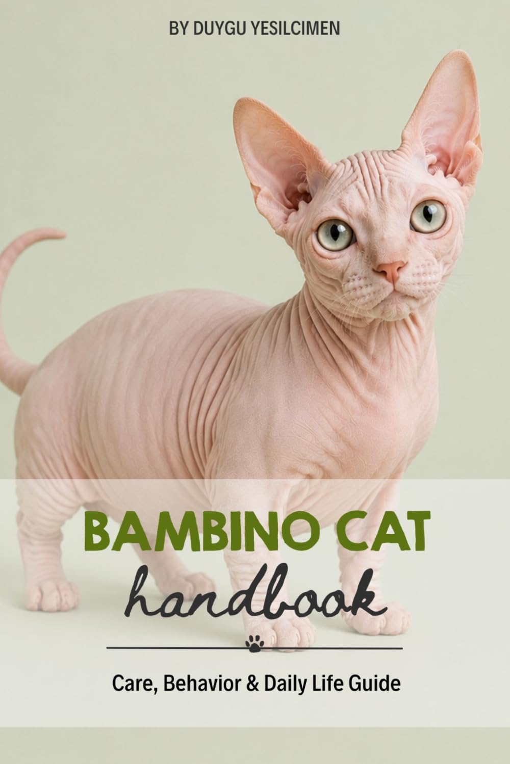 Bambino Cat: Care, Behavior & Daily Life Guide baixar o livro de graça