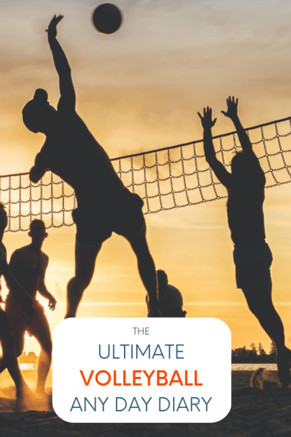 capítulo por capítulo baixar The Ultimate Volleyball Any Day Diary: - Start Today - Any Day Of The Year - Record Every Memorable Detail of Your Life.