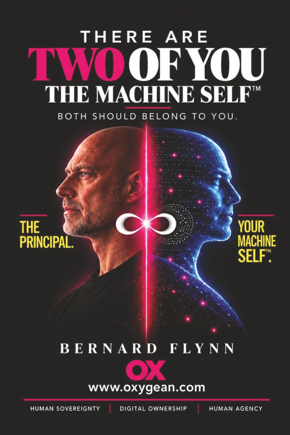 THE MACHINE SELF: The Digital Human Citizen baixar livro de graça