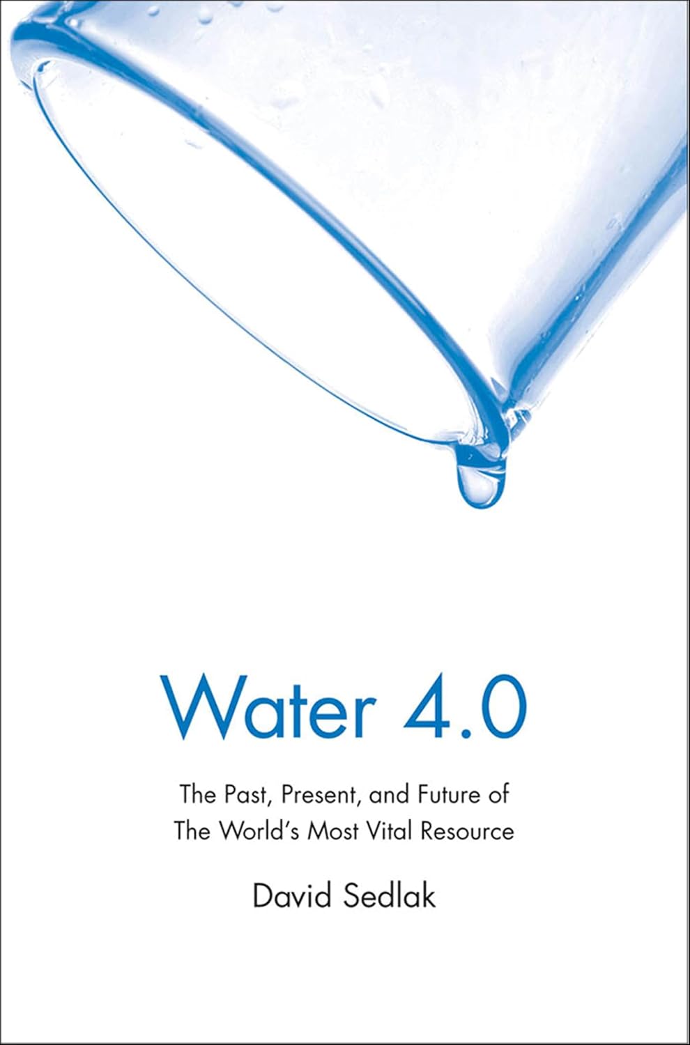 ler totalmente Water 4.0: The Past, Present, and Future of the World's Most Vital Resource (English Edition)
