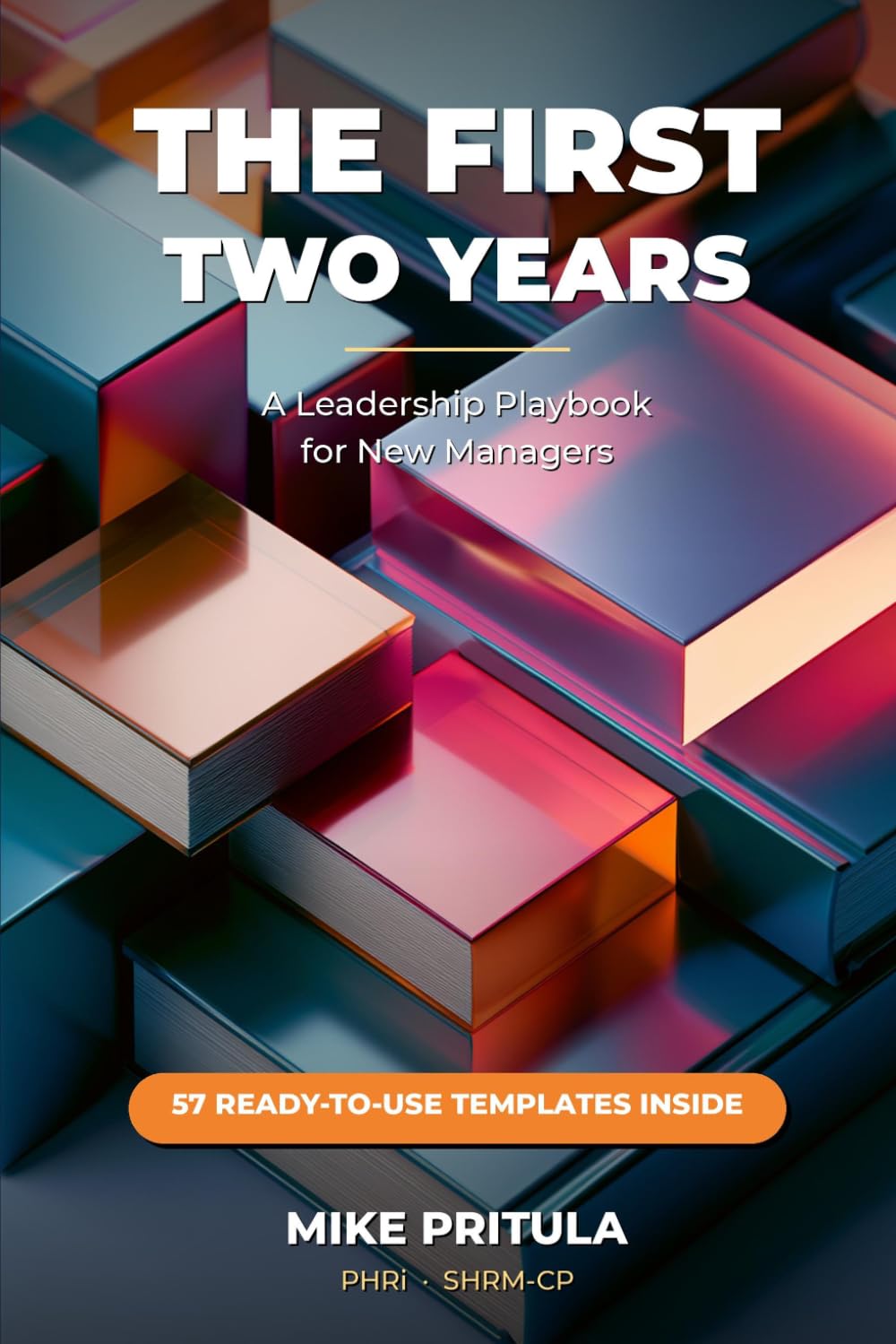 The First Two Years: A Leadership Playbook for New Managers: 2 baixar o livro de graça