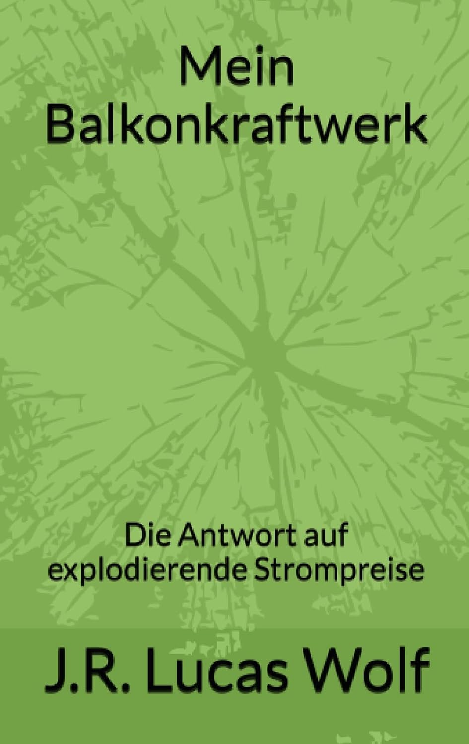 ler totalmente Mein Balkonkraftwerk: Die Antwort auf explodierende Strompreise (German Edition)