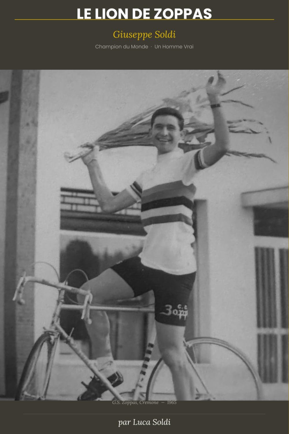 ler totalmente Le Lion de Zoppas: Champion du Monde - Homme Vrai (French Edition)
