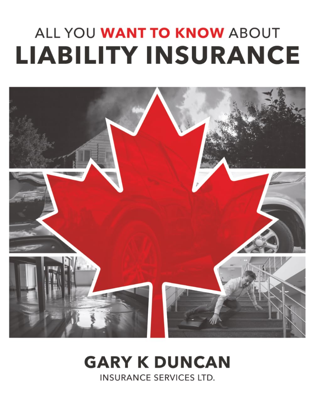 All You Want to Know About Liability Insurance: A Broker's Guide to Commercial General Liability Exclusions, Coverage Gaps & the Wording That Fixes Them baixar o livro de graça