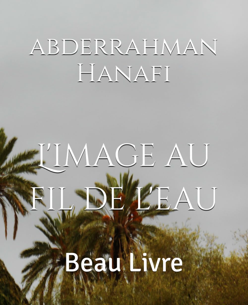 L'image au fil de l'eau: Beau Livre baixar livro de graça