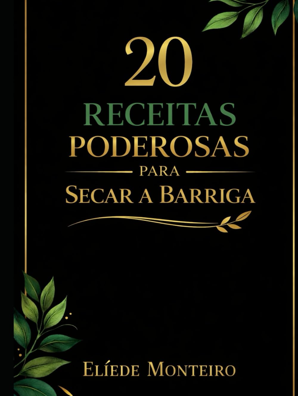 20 Receitas Poderosas para Secar a Barriga (Portuguese Edition) baixar o livro de graça