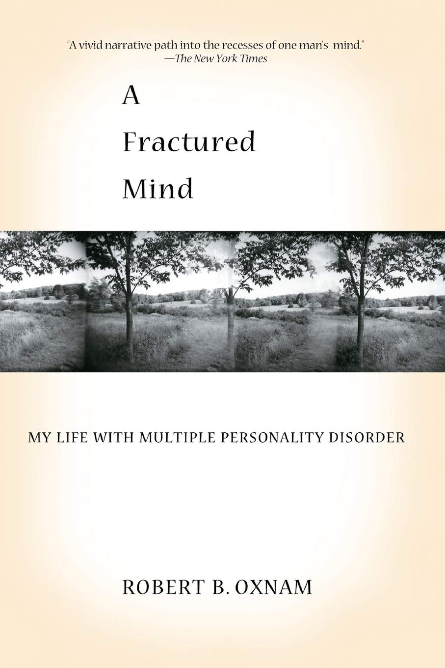 ler totalmente A Fractured Mind: My Life with Multiple Personality Disorder