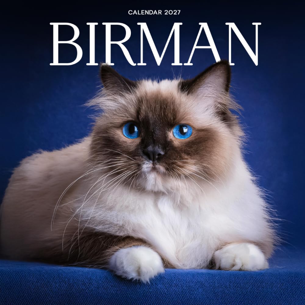 Birman Cat Calendar 2027: Cat Portraits and Breed Scenes baixar livro de graça