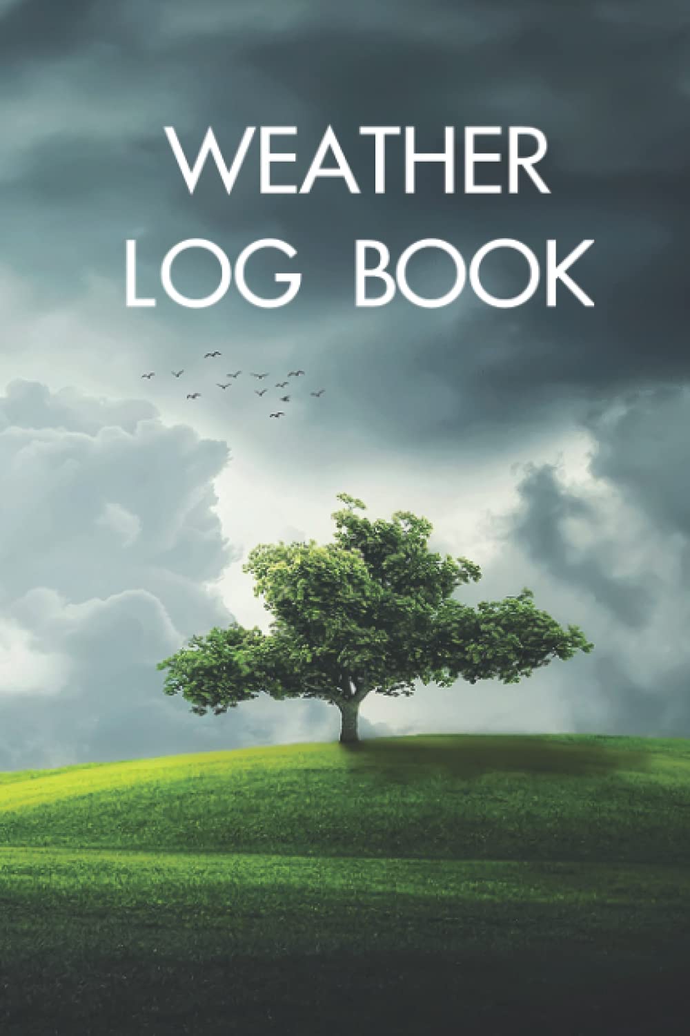 Weather Log Book: 120 Page Book Journal Diary for Recording Temperatures, Wind Speed & Direction, Precipitation, Humidity, Isobars and Notes baixar livro de graça