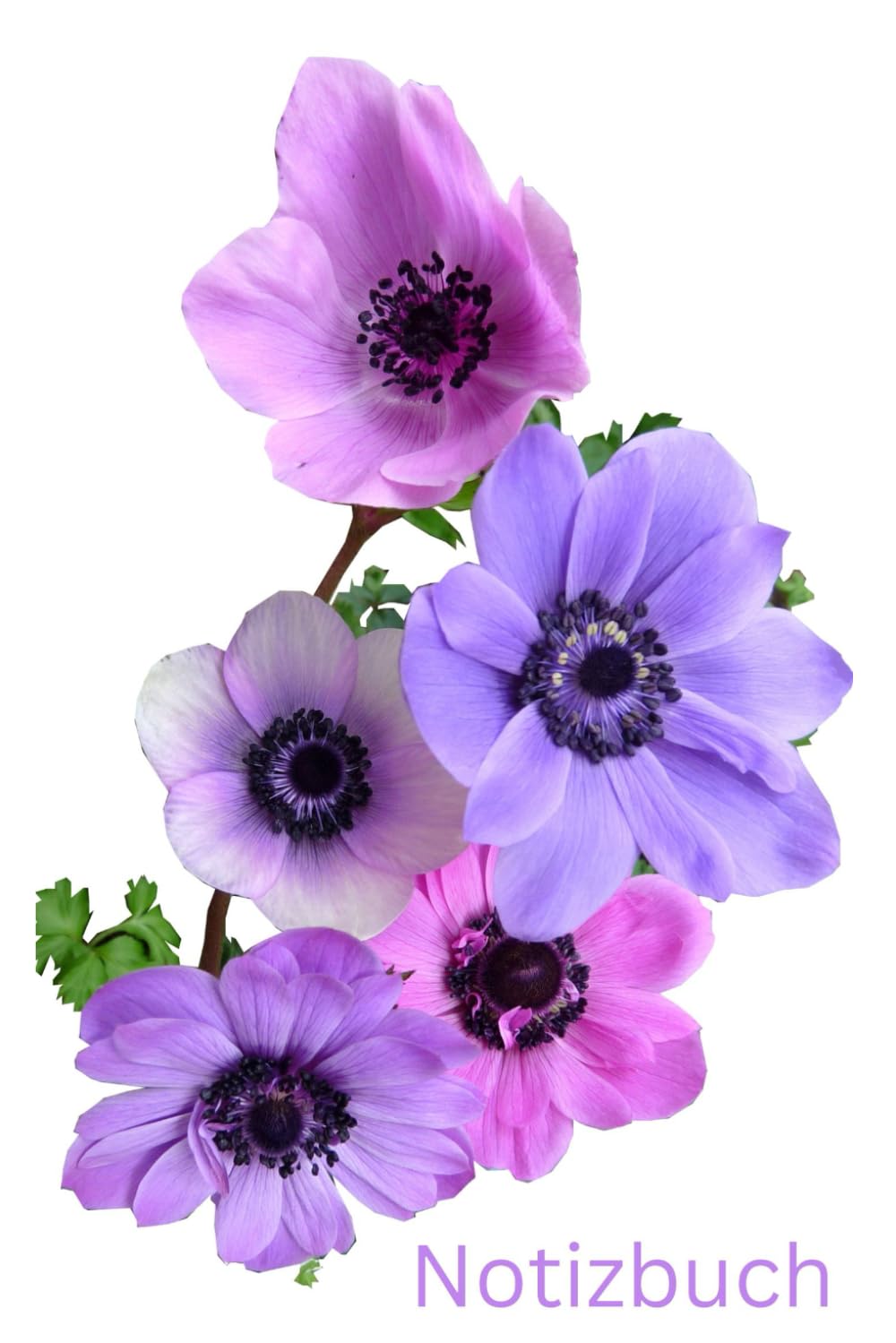 Notizbuch Anemone, Blumen Buch: Geschenk für Anemonen Liebhaber & Garten Fans, Accessoires, A5, Zubehör, Bild: Tagebuch, Journal, Taschenbuch,... Flower, Pflanze, Lila,Blau (German Edition) baixar livro de graça