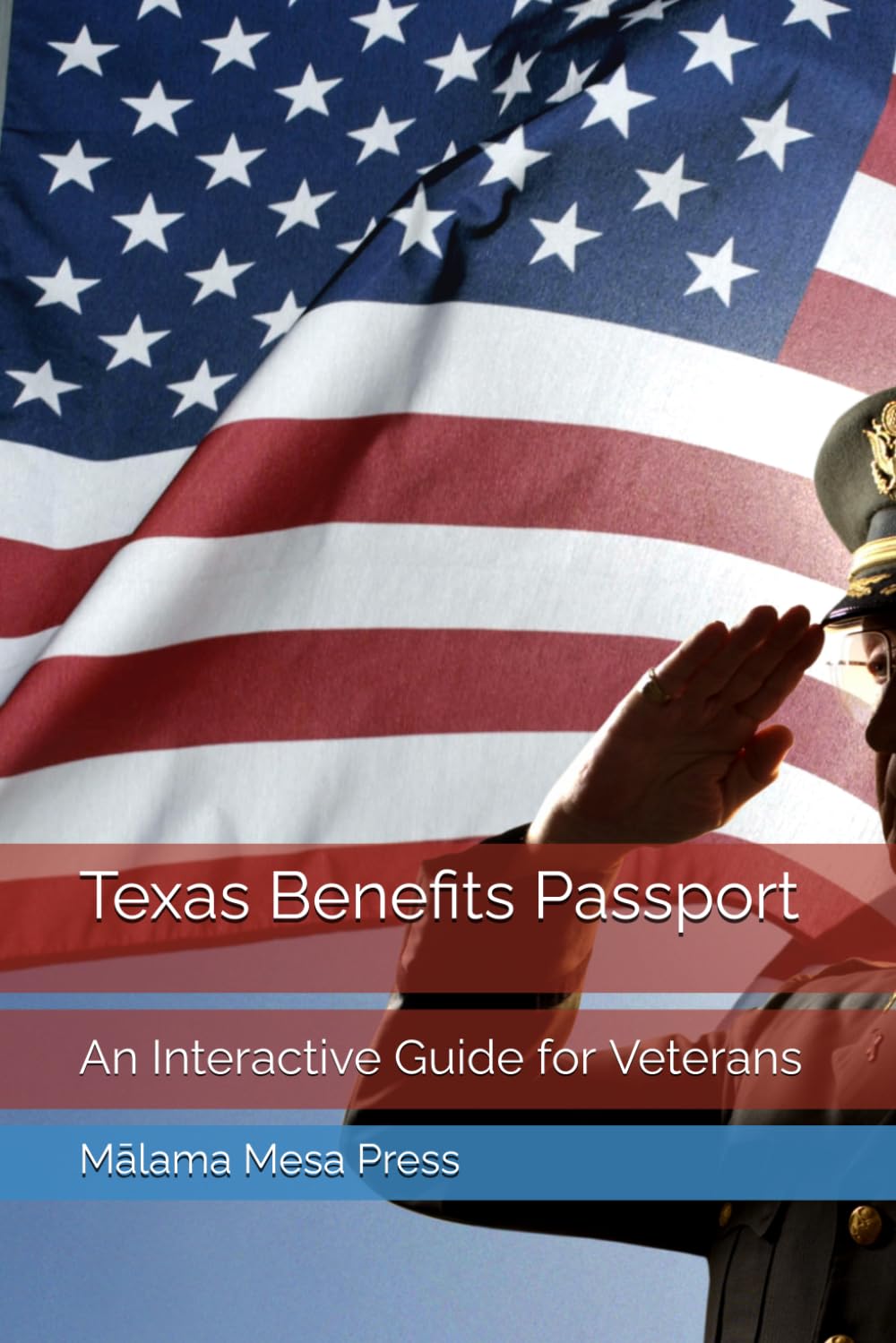 Texas Benefits Passport: An Interactive Guide to Navigating Texas State Benefits for Veterans, Advocates, Caregivers, and Families (Mālama i nā Koa — Protecting Our Warriors) baixar livro de graça