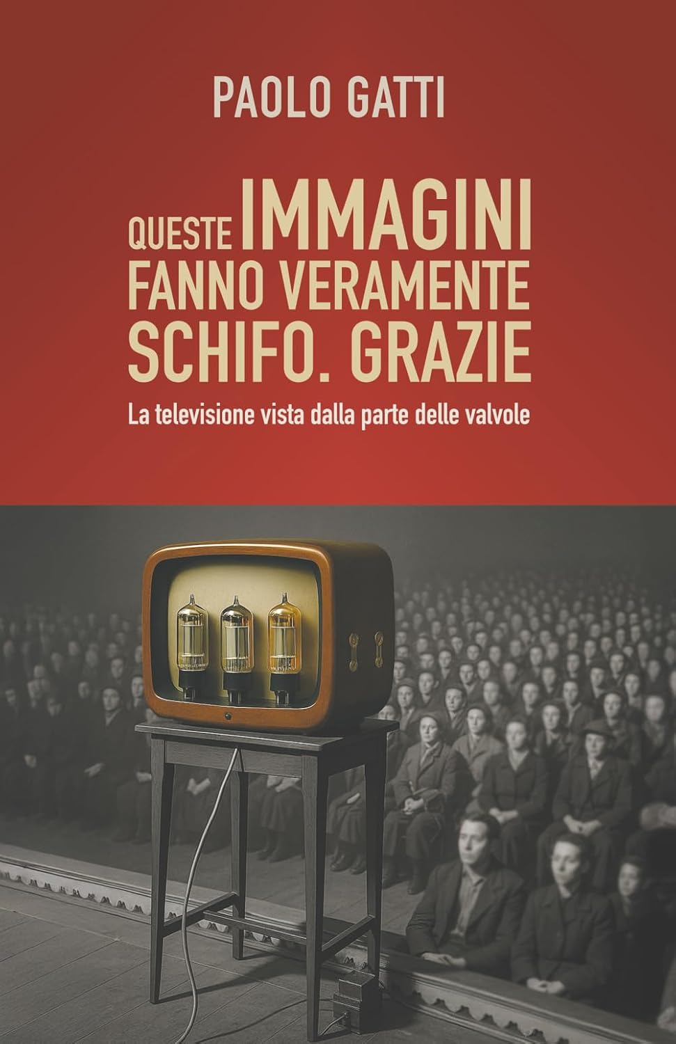 Queste immagini fanno veramente schifo. Grazie: La televisione vista dalla parte delle valvole (Italian Edition) baixar livro de graça