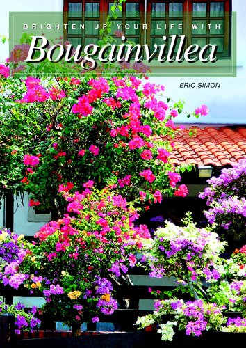 ler totalmente Brighten Up Your Life With Bougainvillea