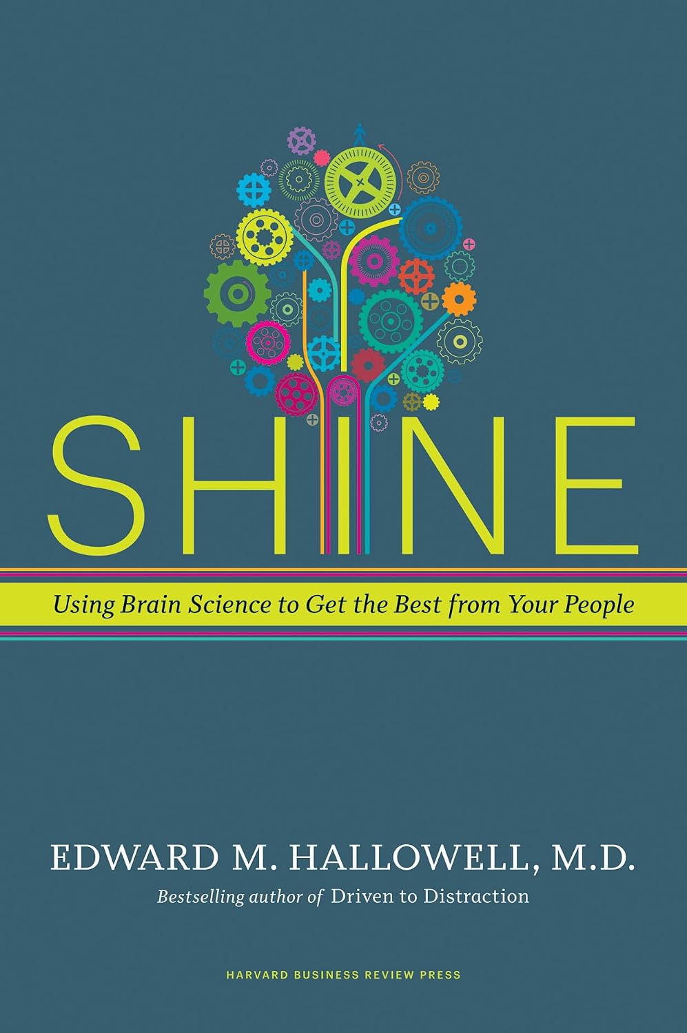 capítulo por capítulo baixar Shine: Using Brain Science to Get the Best from Your People