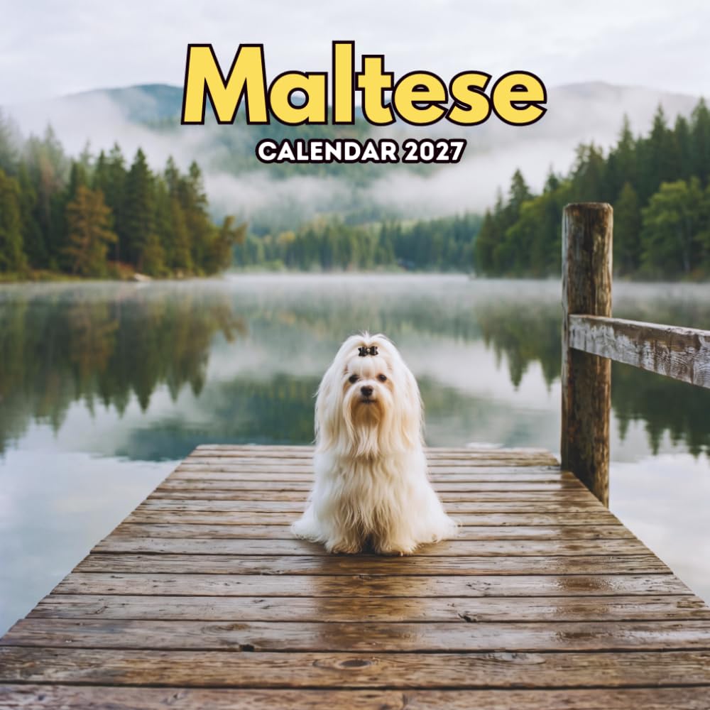 capítulo por capítulo baixar Maltese Calendar 2027: Small White Dogs with Bright and Playful Personalities | 8.5 x 8.5 In