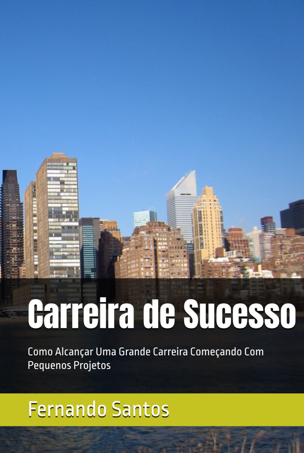 ler totalmente Carreira de Sucesso: Como Alcançar Uma Grande Carreira Começando Com Pequenos Projetos