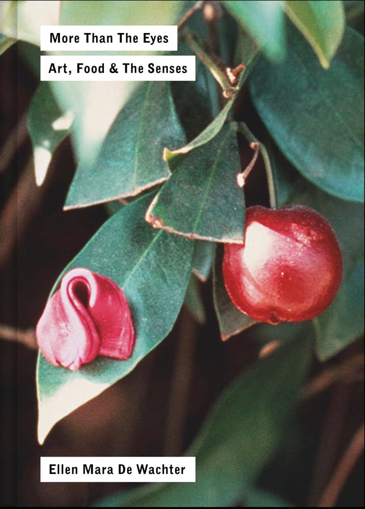 More Than the Eyes: Art, Food and the Senses baixar o livro de graça