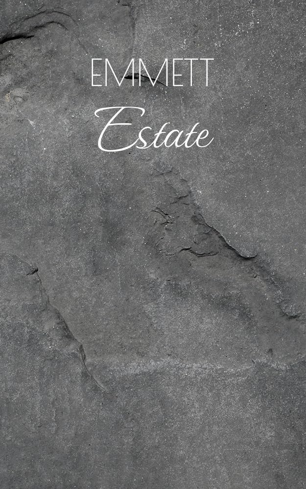 ler totalmente Estate: Fine Artist 21st Century Art Portfolio (English Edition)
