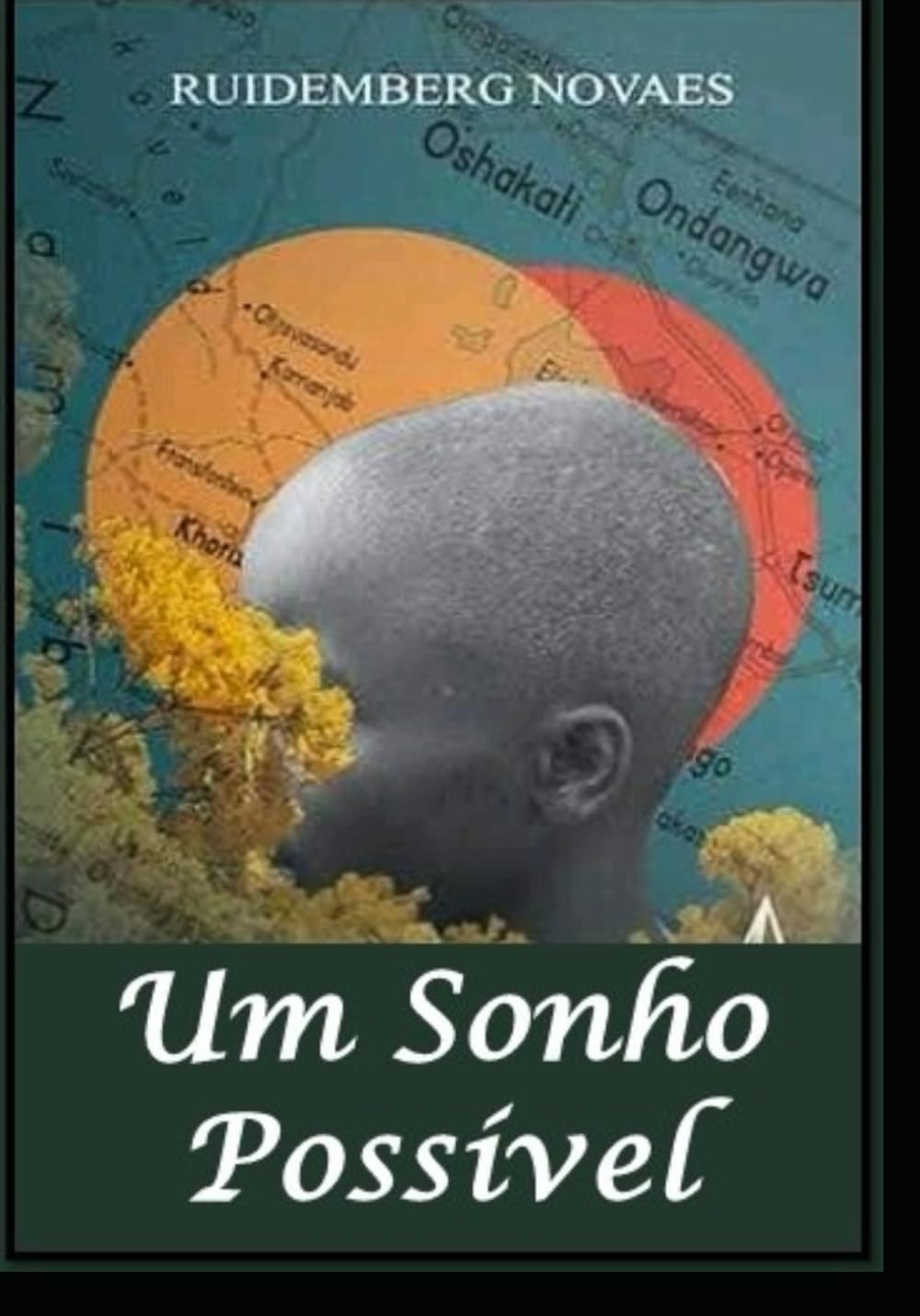 Um Sonho Possível (Portuguese Edition) baixar livro de graça