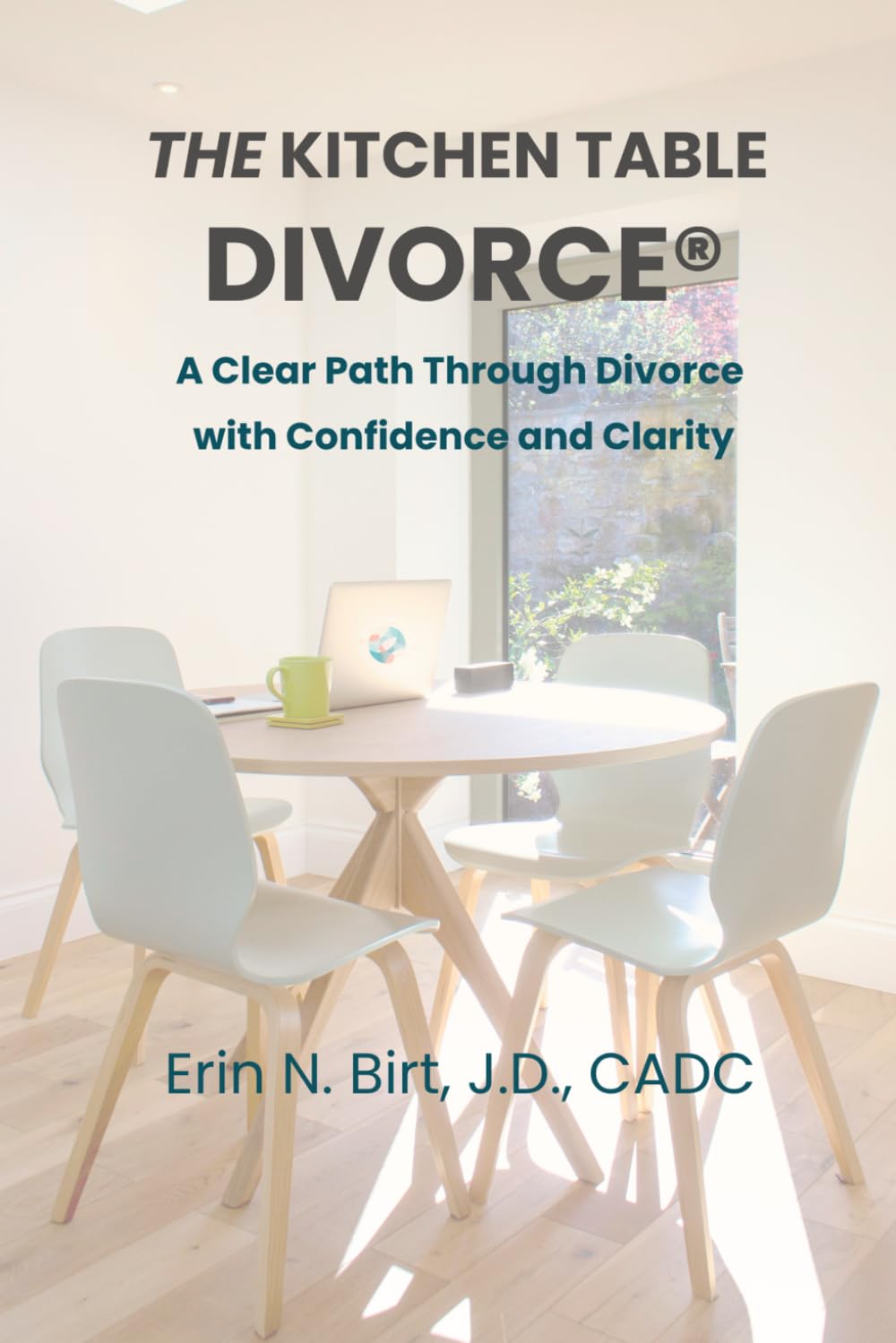 ler totalmente The Kitchen Table Divorce®: A Clear Path Through Divorce with Confidence and Clarity