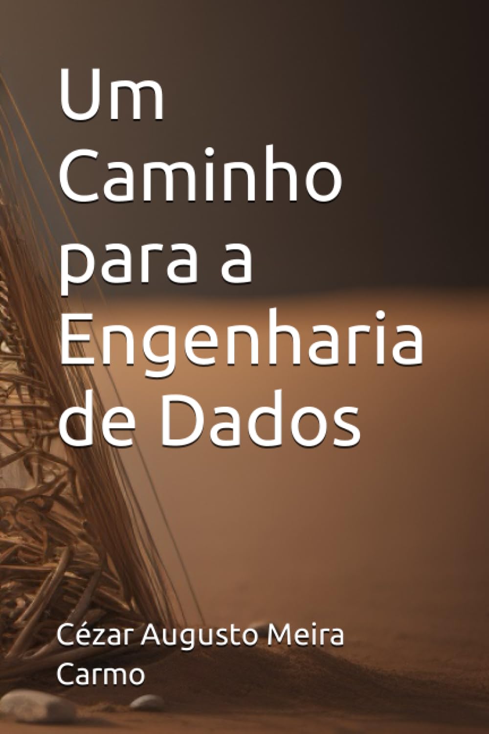 Um Caminho para a Engenharia de Dados (Portuguese Edition) baixar o livro de graça
