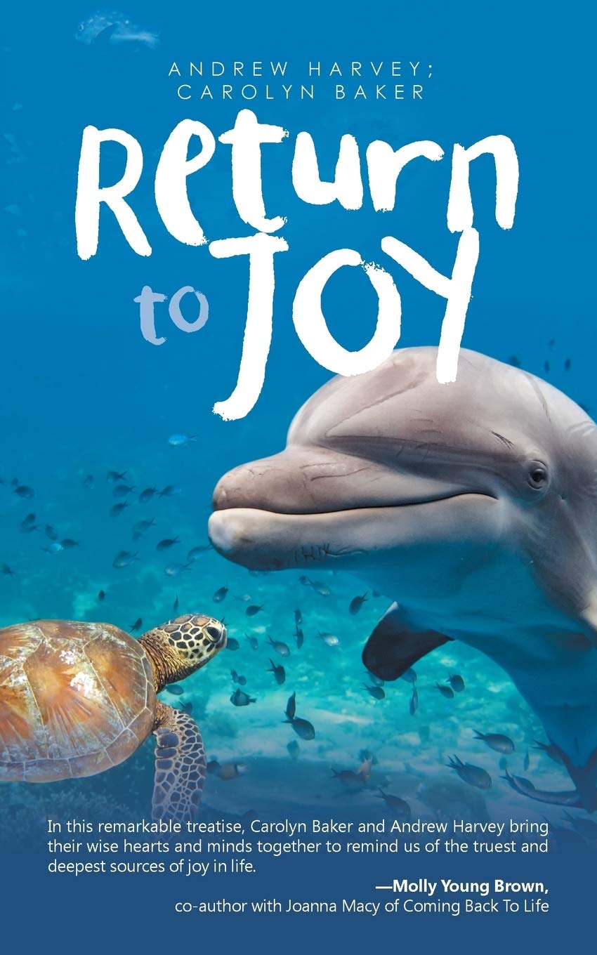 ler totalmente Return to Joy