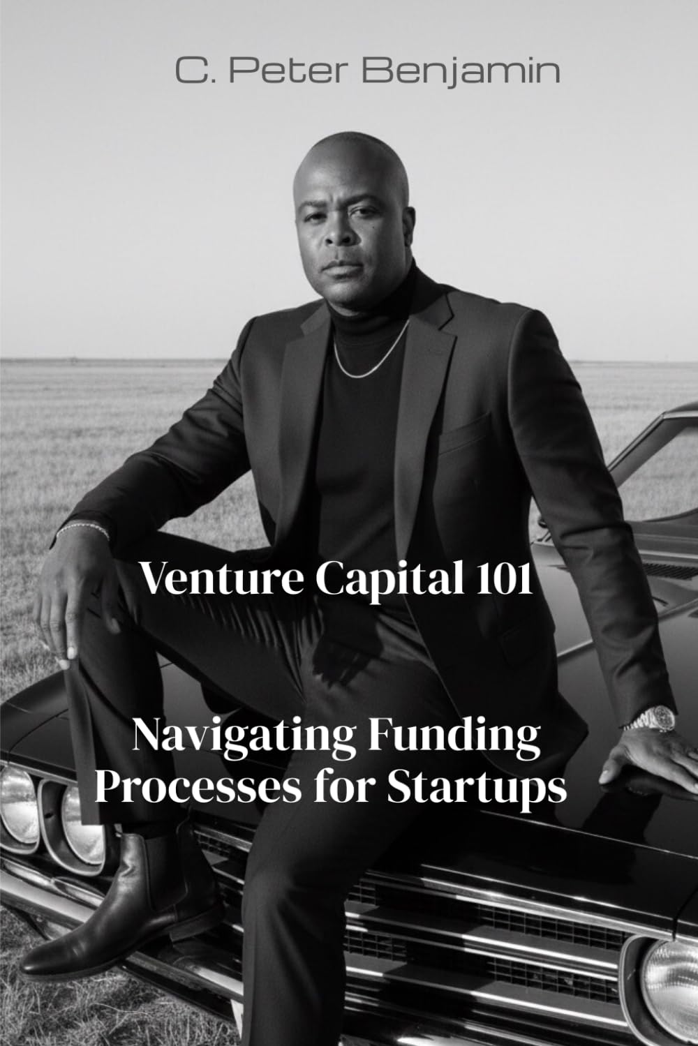 Venture Capital 101: Navigating Funding Processess for Startups (Self, Wealth and Health Series) baixar o livro de graça