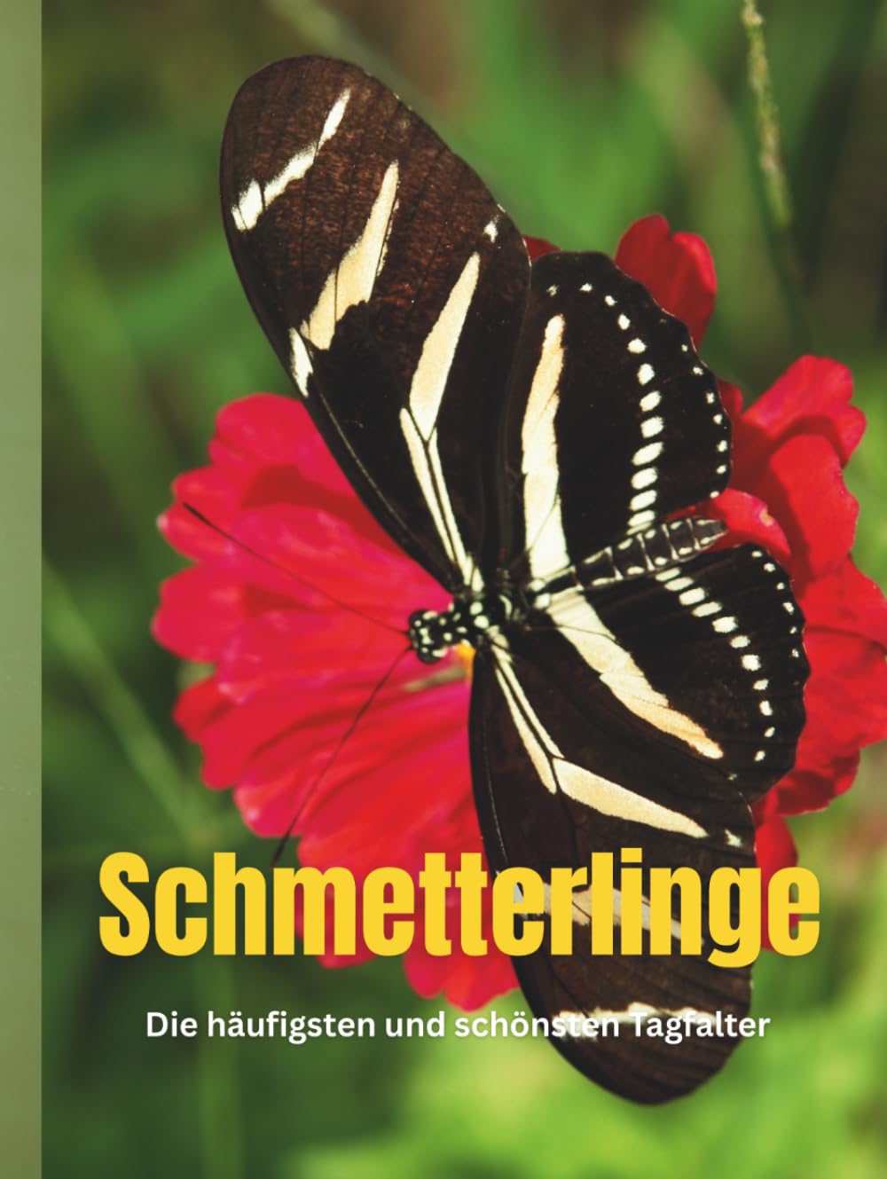 SCHMETTERLINGE: Schmetterling Arten. Die häufigsten und schönsten Tagfalter. (German Edition) baixar livro de graça