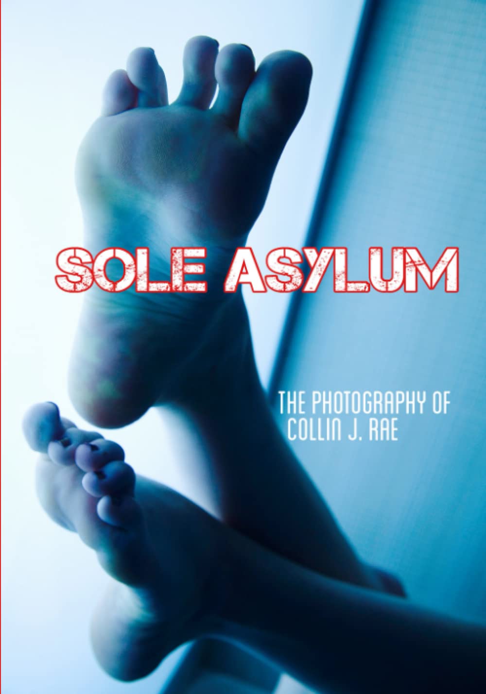 ler totalmente Sole Asylum