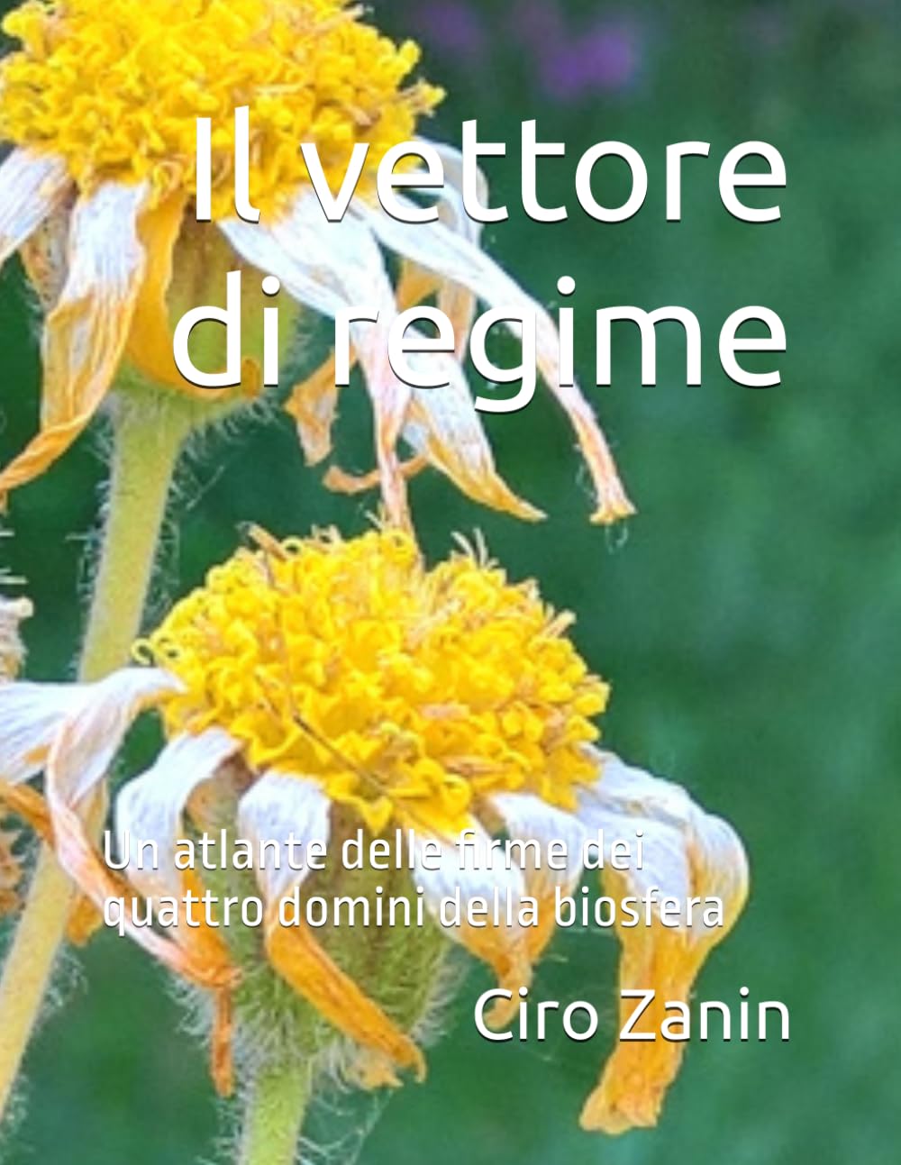 capítulo por capítulo baixar Il vettore di regime: Un atlante delle firme dei quattro domini della biosfera (Italian Edition)