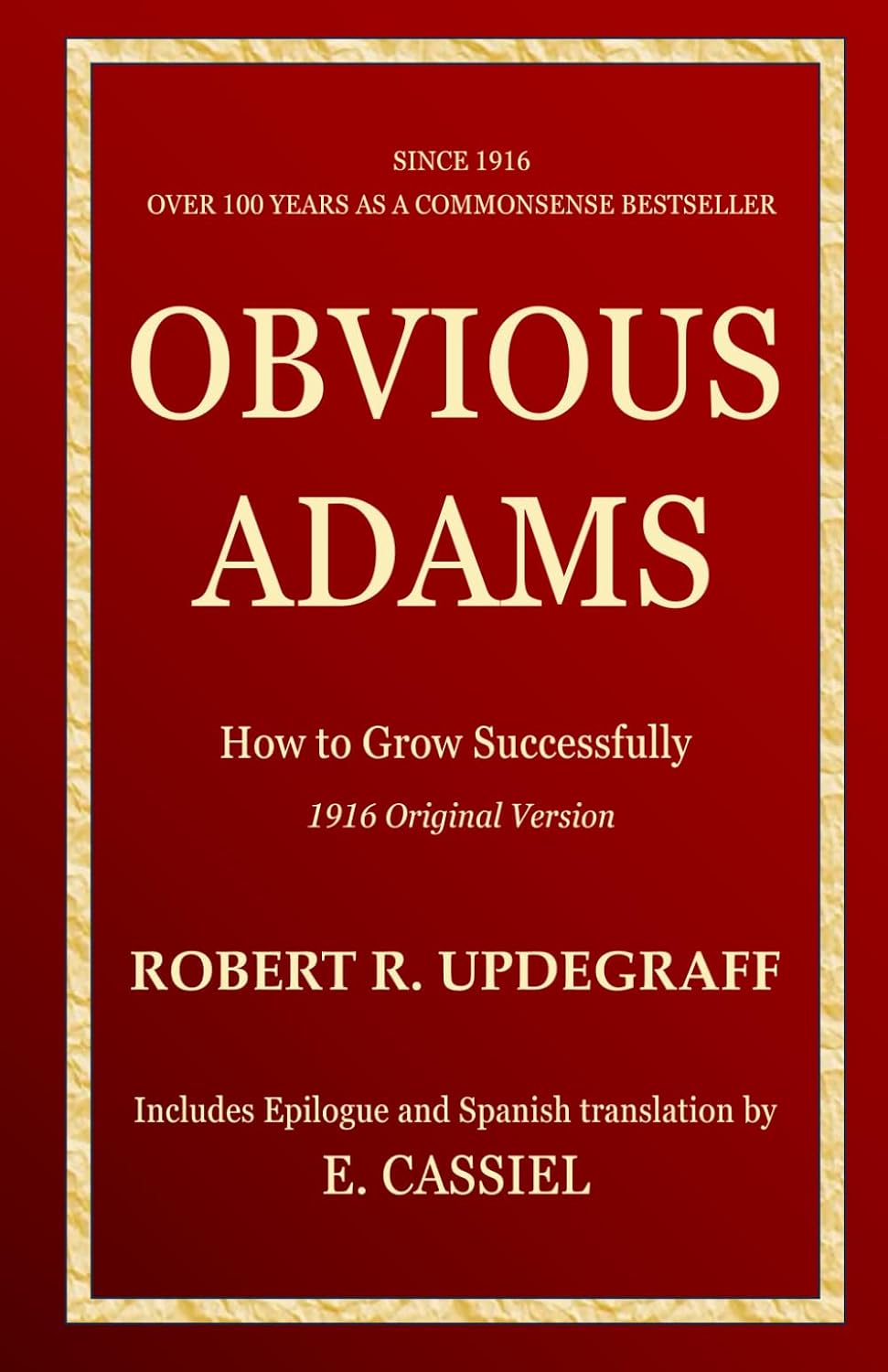 Obvious Adams: What does success mean in your life? baixar livro de graça