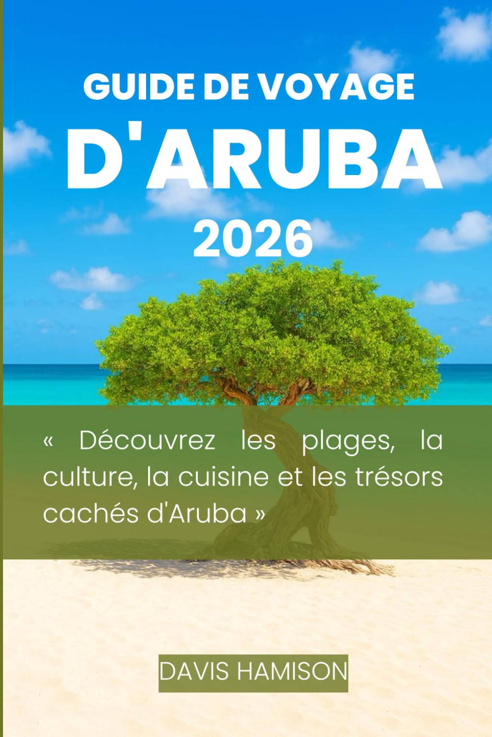 GUIDE DE VOYAGE D'ARUBA 2026: « Découvrez les plages, la culture, la cuisine et les trésors cachés d'Aruba » (French Edition) baixar o livro de graça