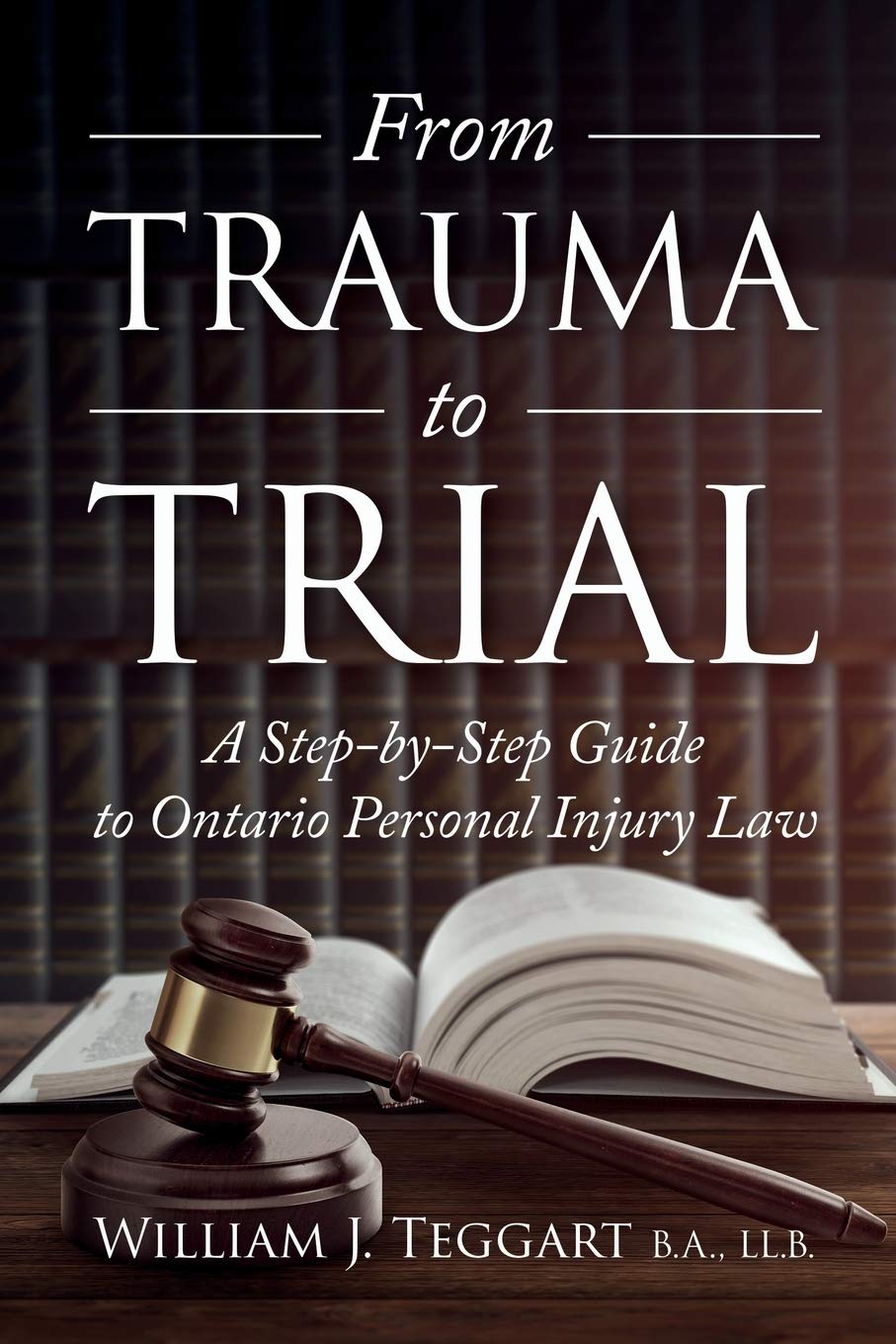 From Trauma to Trial: A Step-by-Step Guide to Ontario Personal Injury Law baixar livro de graça