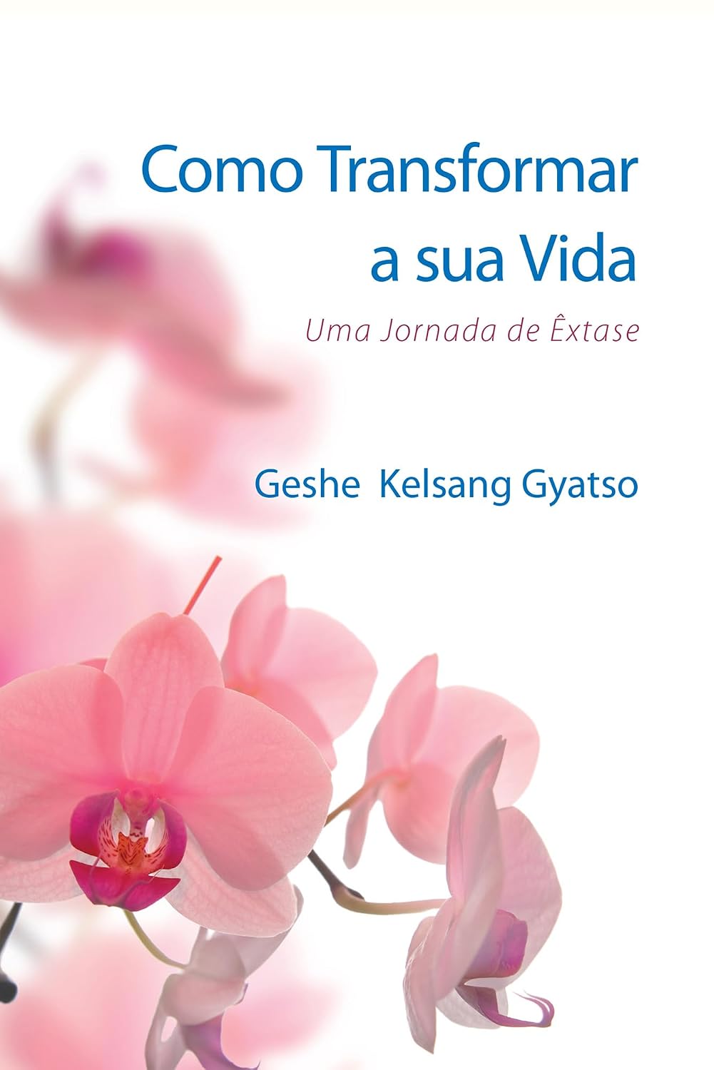 capítulo por capítulo baixar Como Transformar a sua Vida: Uma Jornada de êxtase