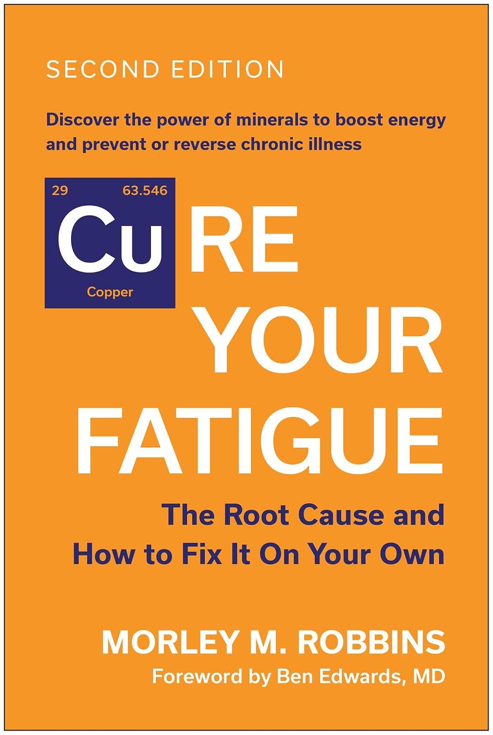 capítulo por capítulo baixar Cure Your Fatigue, Second Edition: The Root Cause and How to Fix It on Your Own