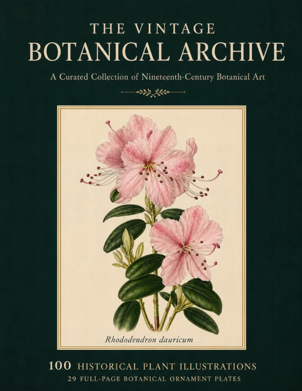 ler totalmente The Vintage Botanical Archive: A Curated Collection of Nineteenth-Century Botanical Art: 100 Historical Plant Illustrations & 29 Full-Page Botanical Ornament Plates