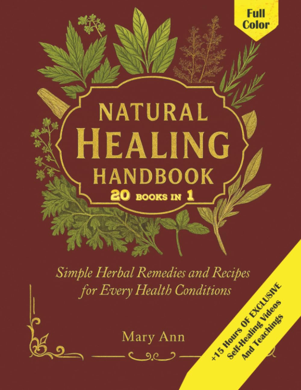 Natural Healing Handbook: Simple Herbal Remedies and Recipes for Every Ailments (Self-Healing and non-toxic living guide) baixar o livro de graça