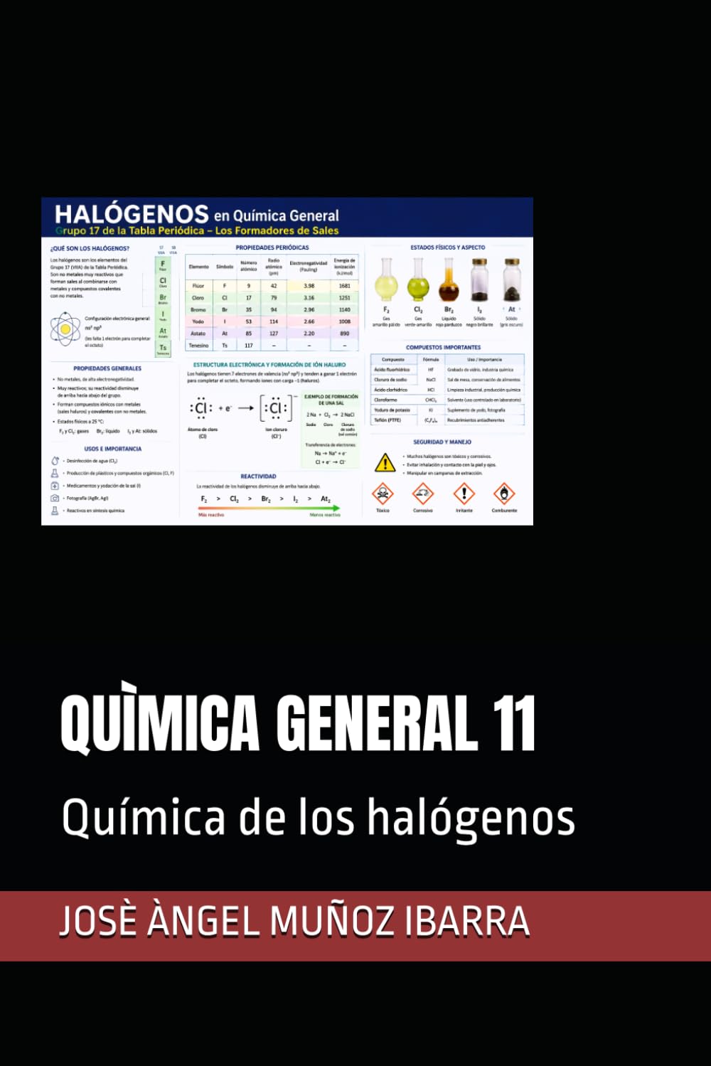 ler totalmente Quìmica General 11: Química de los halógenos