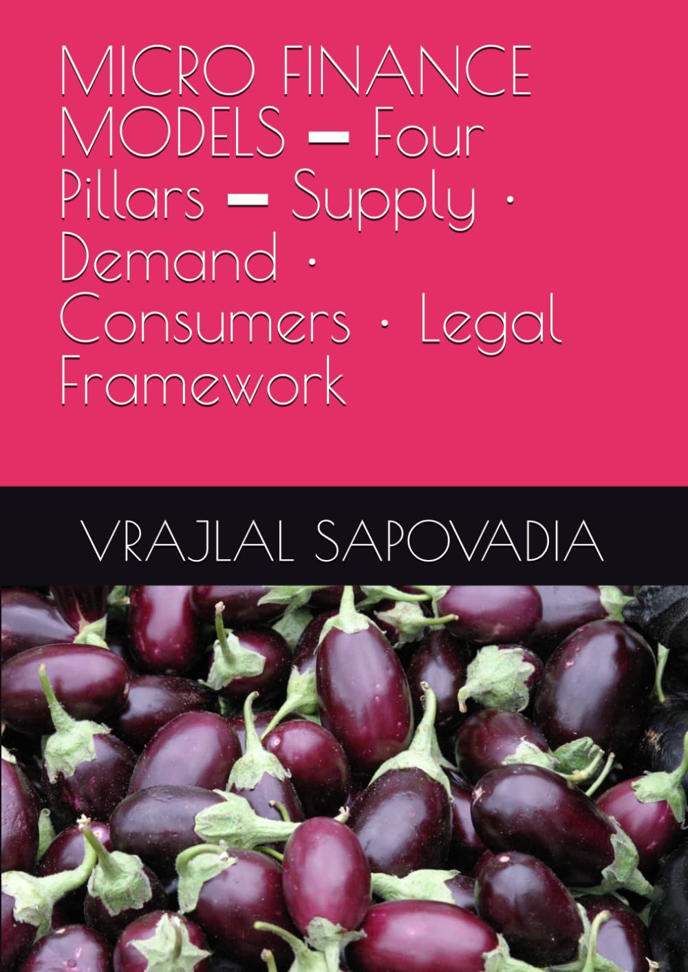 MICRO FINANCE MODELS ━ Four Pillars ━ Supply • Demand • Consumers • Legal Framework baixar o livro de graça