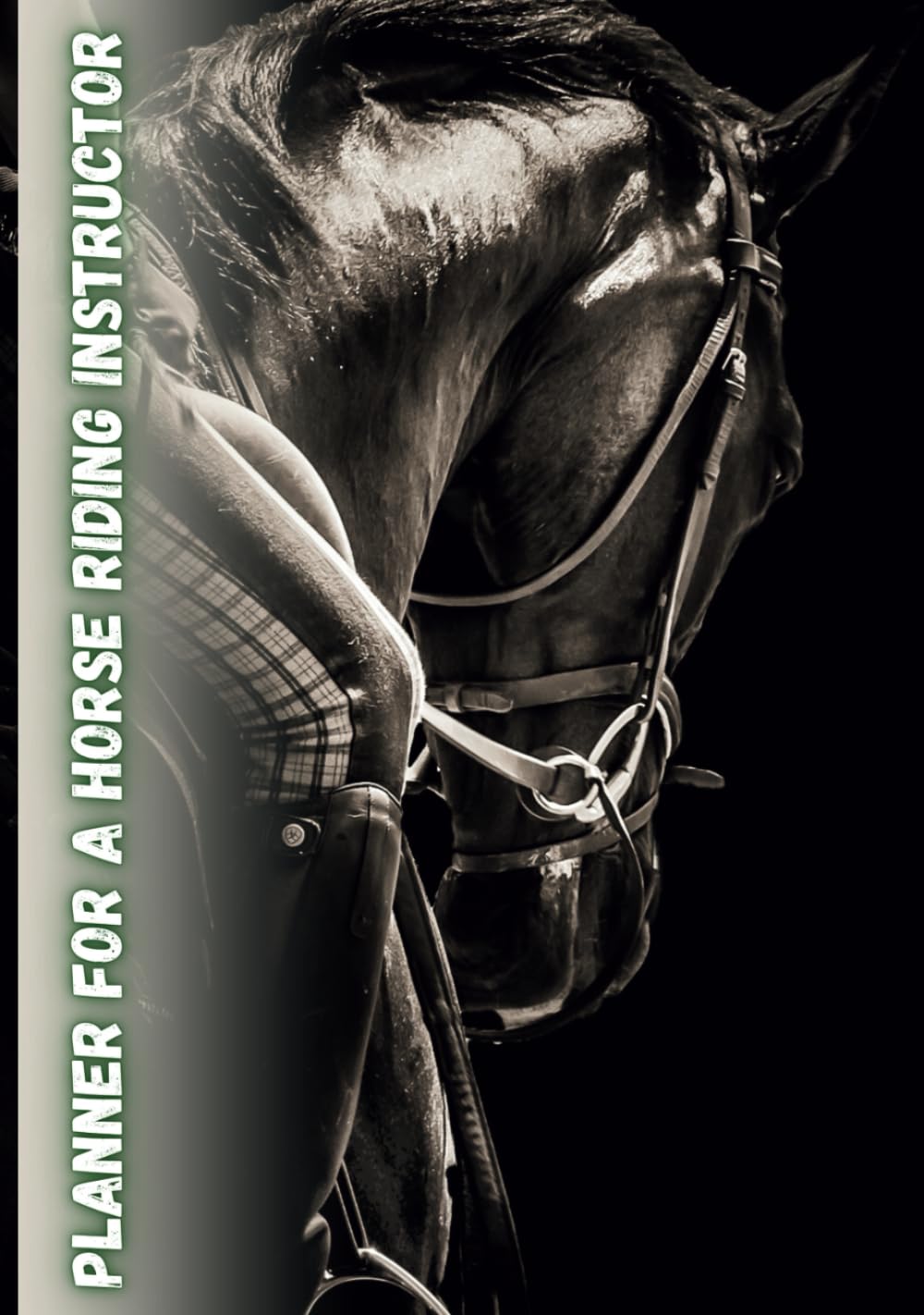 capítulo por capítulo baixar Planner for a Horse Riding Instructor: Plan, Track, and Enhance Your Horse Riding Sessions with an All-in-One Organizer for Instructors