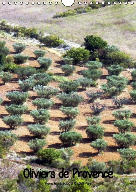 Oliviers de Provence 2016: Photos de ces majestueux oliviers de Provence baixar o livro de graça