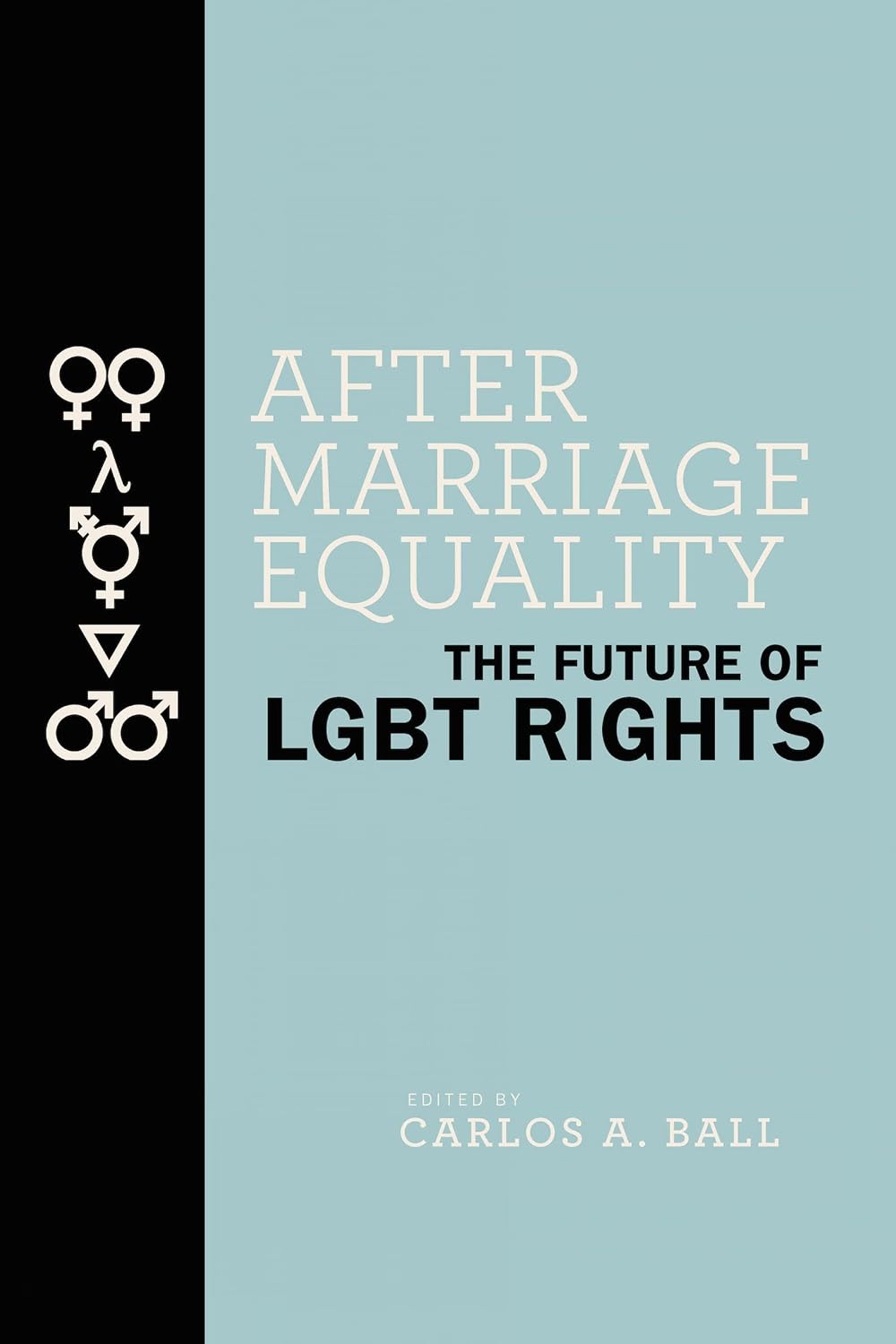 After Marriage Equality: The Future of LGBT Rights (English Edition) baixar livro de graça