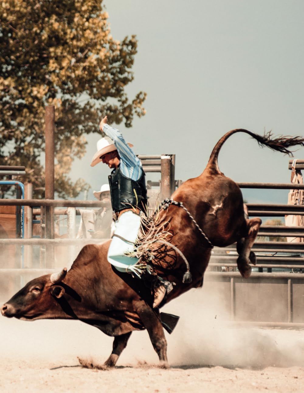 Bull Riding Planner Logbook: Calendar, Workbook, Record keeping