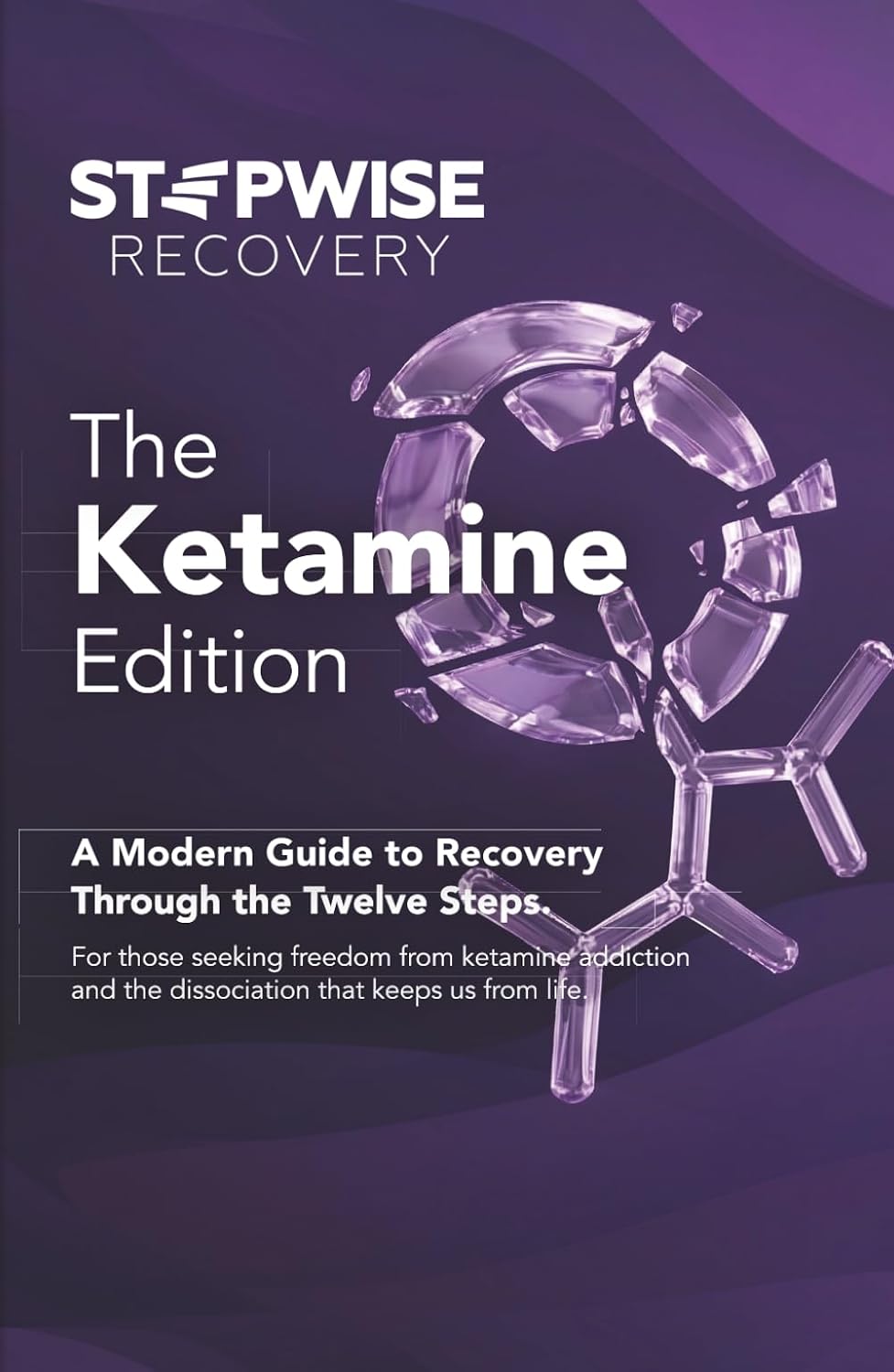 Stepwise Recovery: The Ketamine Edition: A Modern Guide to Recovery Through the Twelve Steps baixar livro de graça