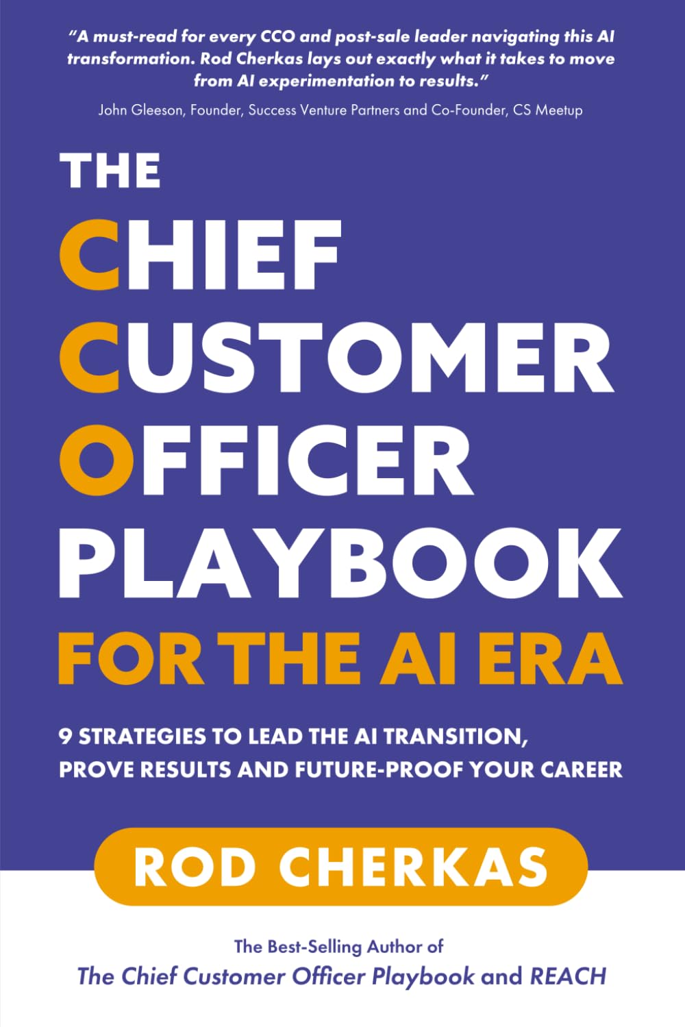 The Chief Customer Officer Playbook for the AI Era: 9 Strategies to Lead the AI Transition, Prove Results, and Future-Proof Your Career baixar livro de graça
