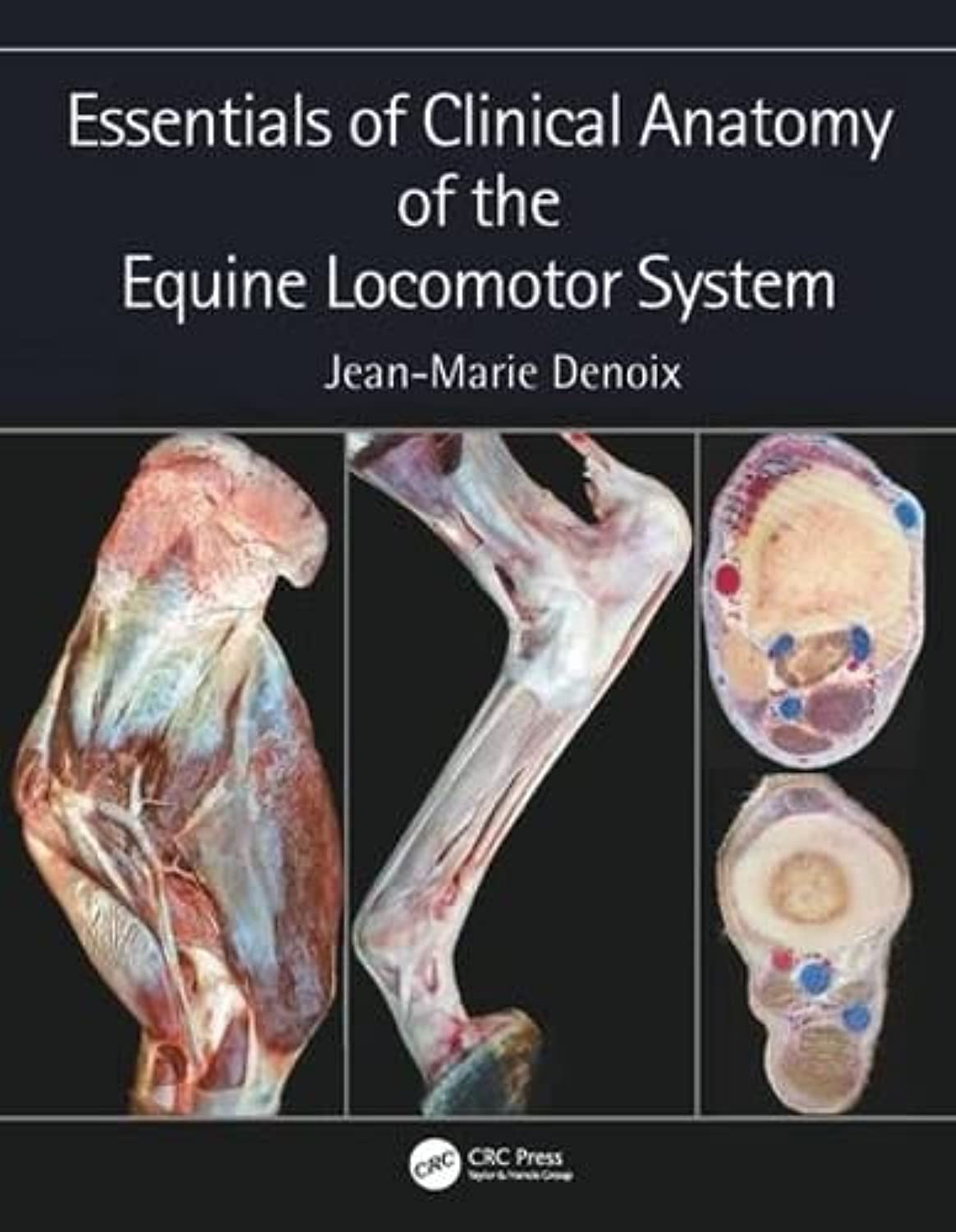 capítulo por capítulo baixar Essentials of Clinical Anatomy of the Equine Locomotor System