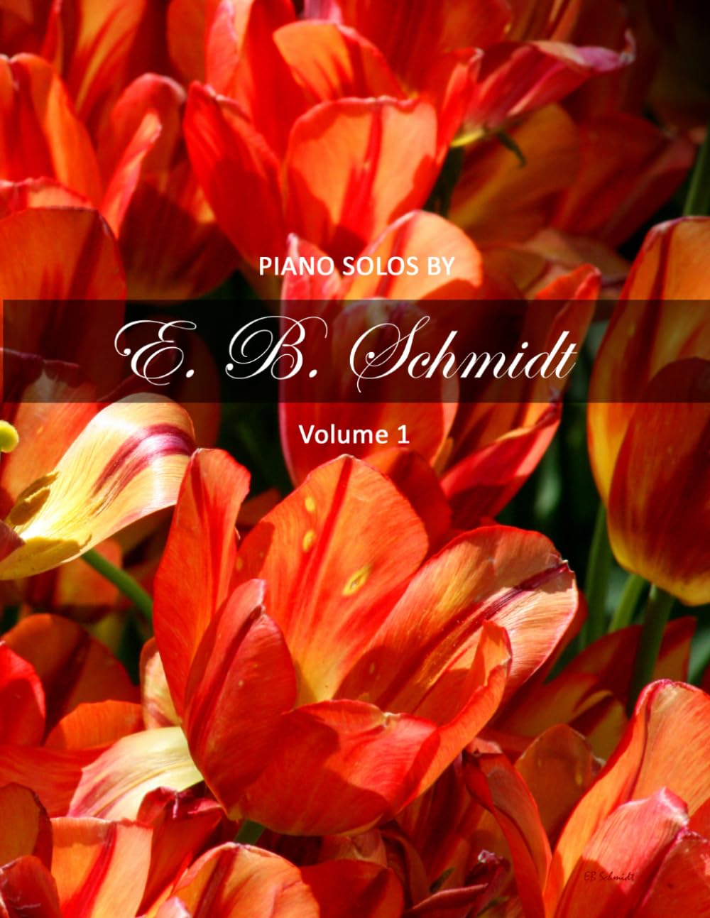 capítulo por capítulo baixar Piano Solos by E. B. Schmidt Volume 1: Beautiful piano solos for the intermediate to advanced player.