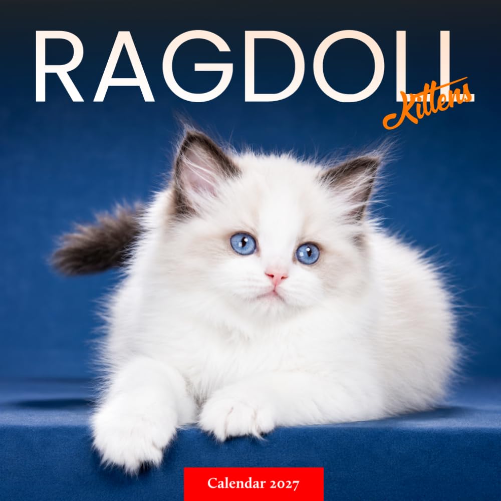 capítulo por capítulo baixar Ragdoll Kittens Calendar 2027: Young Cat Photography